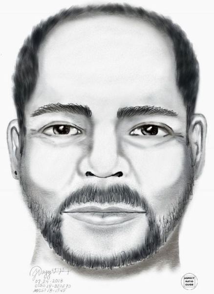 438x600 Pamplin Media Group - Medical Body Sketch