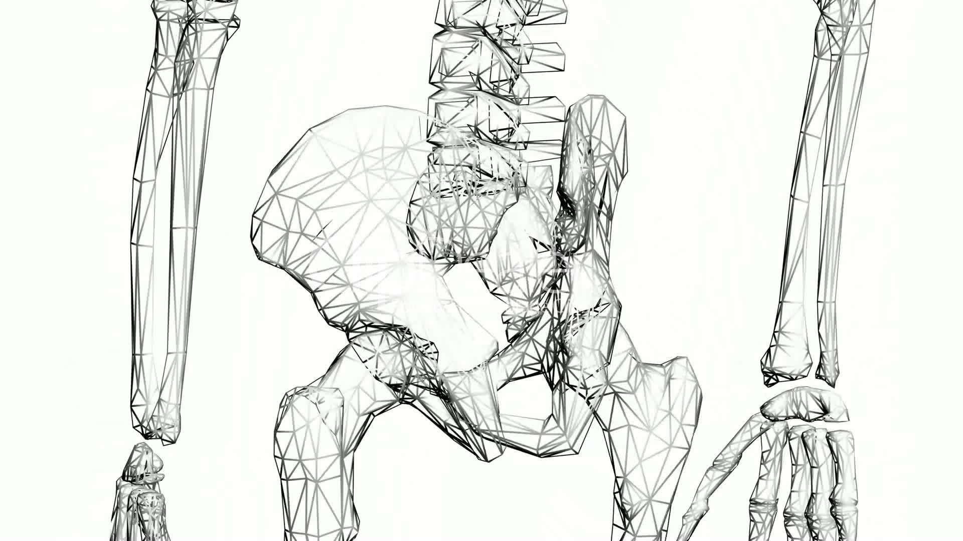 1920x1080 Rotation Of 3d Skeleton.hip Bone,pelvis,pelvic,anatomy,human - Medical Body Sketch