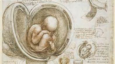 394x221 Medical Impact - Medical Sketches