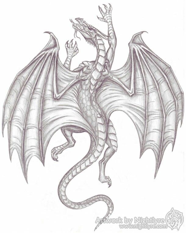 610x767 Climbing Medieval Dragon Tattoos Dragon, Tattoos - Medieval Dragon Sketch