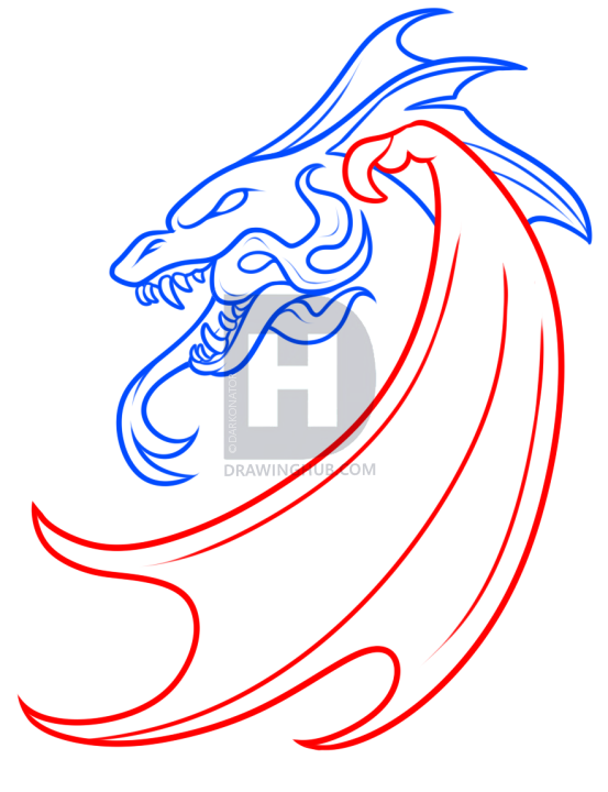 553x720 How To Draw A Medieval Dragon, Step By Step, Drawing Guide, By - Medieval Dragon Sketch