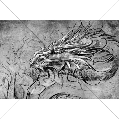 500x500 Medieval Dragon Head Gl Stock Images - Medieval Dragon Sketch