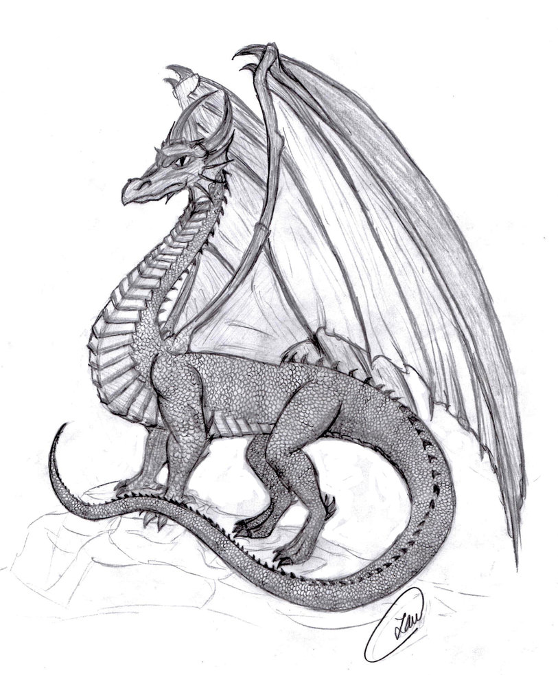813x982 Medieval Dragon By Lena Bitty - Medieval Dragon Sketch