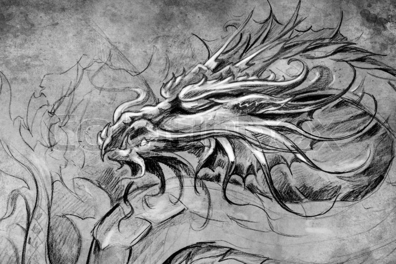 800x533 Medieval Dragon Head. Tattoo Design Over Grey Background. Textured - Medieval Dragon Sketch