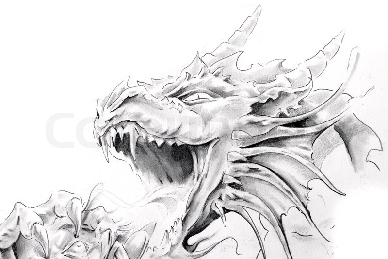 800x533 Tattoo Art, Sketch Of A Medieval Dragon Stock Photo Colourbox - Medieval Dragon Sketch