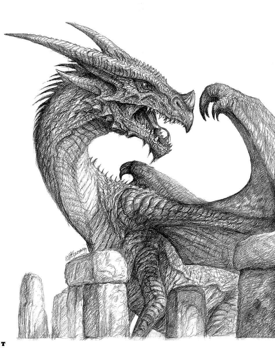 948x1200 Blank And White Dragon Art. Fantasy. Medieval Dragon(S - Medieval Dragon Sketch
