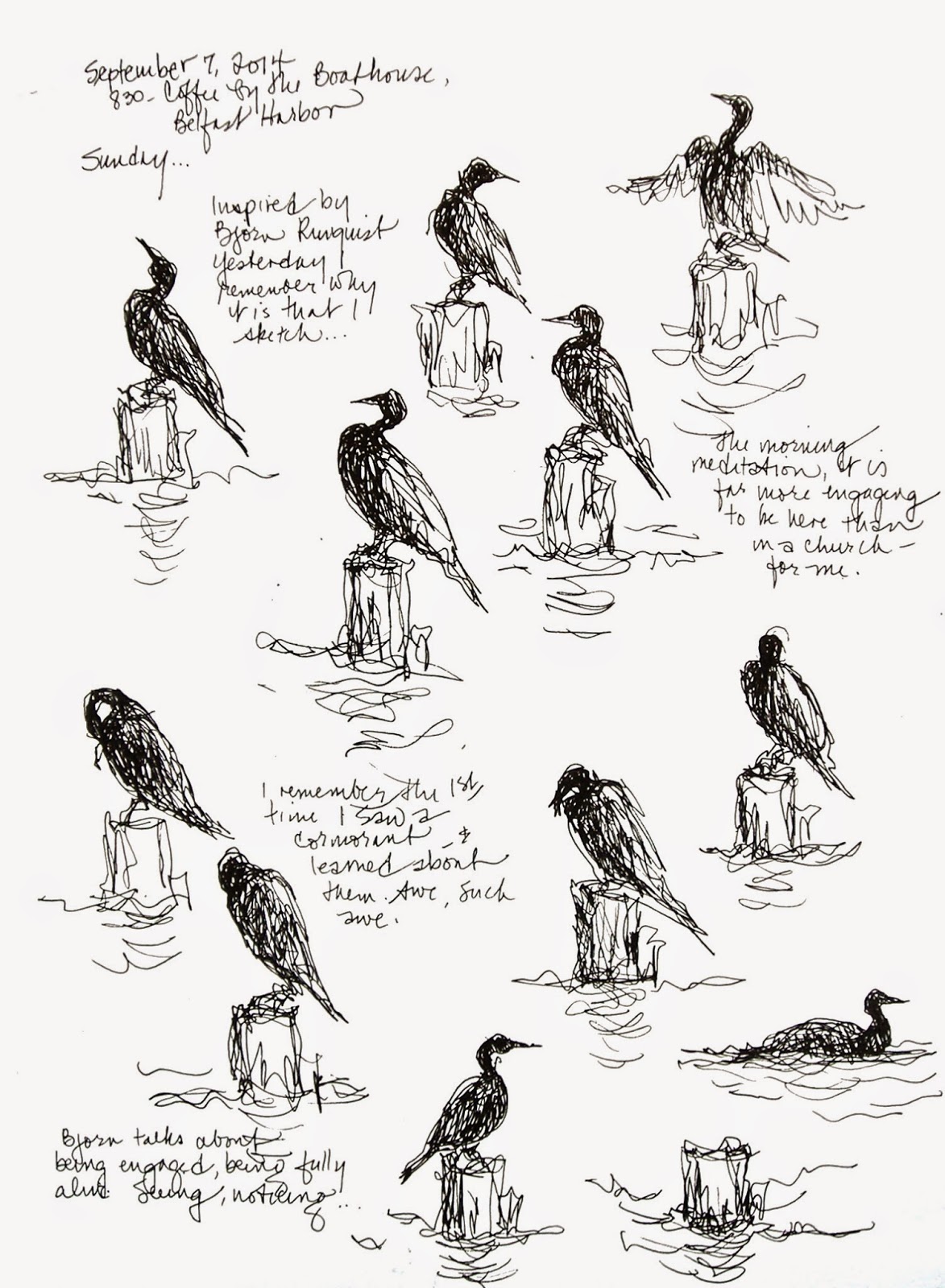 1173x1600 Sketchbook Wandering Morning Meditation Sketch Cormorant - Meditation Sketch
