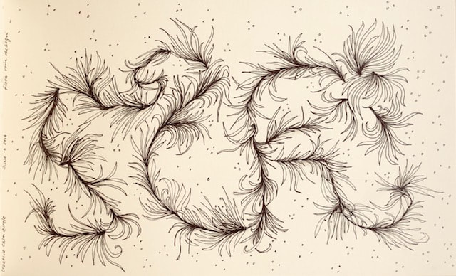 640x388 Category Meditation - Meditation Sketch