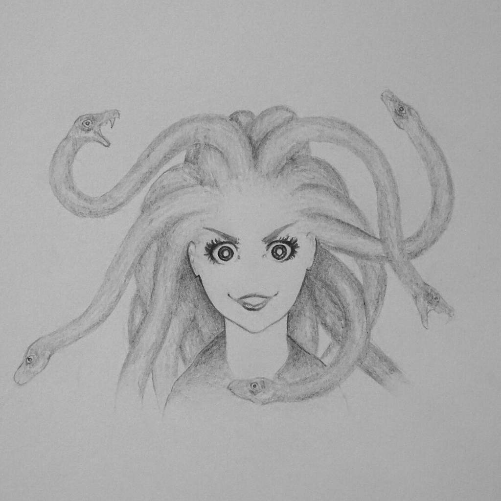 1024x1024 Medusa Sketch Art Amino - Medusa Sketch