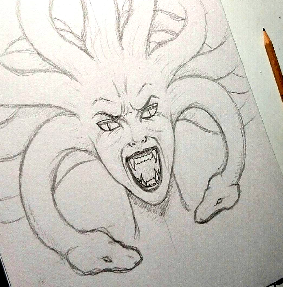 581x588 Medusa Sketch By Jw2011 - Medusa Sketch