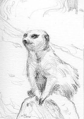 277x391 Meerkat Sketch Art Sketch Nature Again Sketches - Meerkat Sketch
