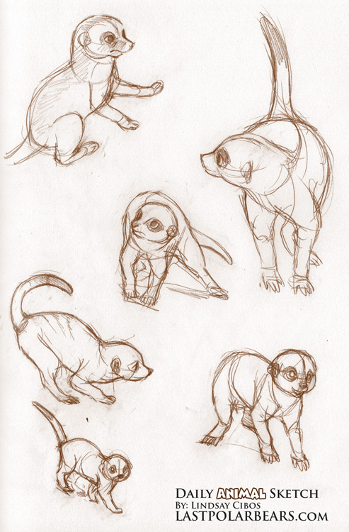 493x750 Daily Animal Sketch Meerkats (2) Last Of The Polar Bears - Meerkat Sketch