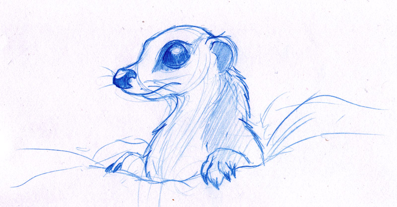 800x417 Friday Sketchdump - Meerkat Sketch