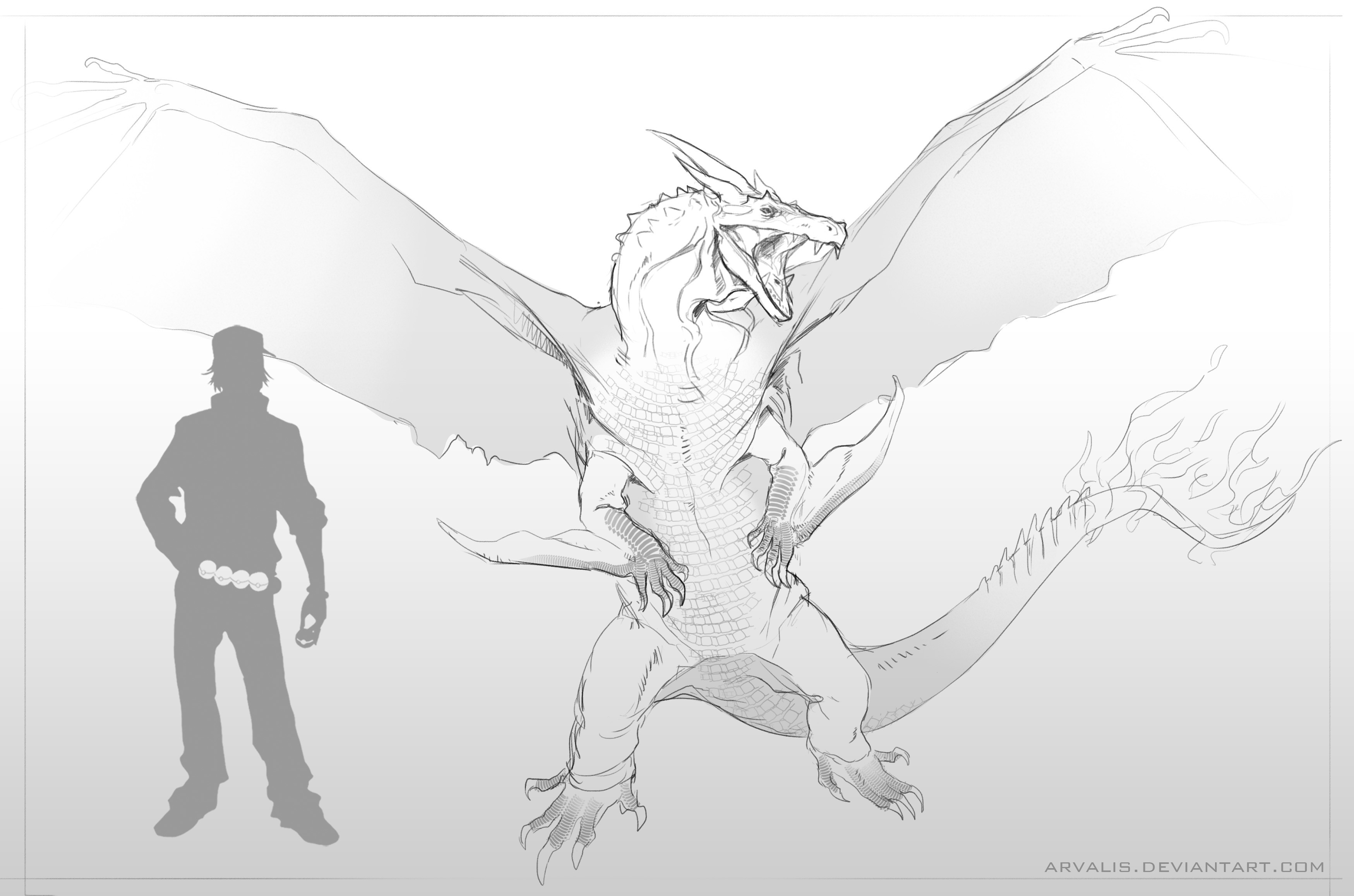 3498x2315 Enjoy Realistic Mega Charizard Sketch - Mega Sketch