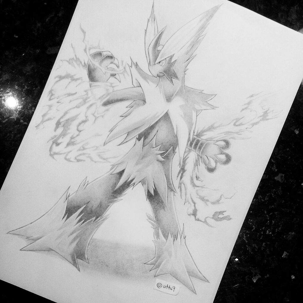 1024x1024 Mega Blaziken Sketch Amino - Mega Sketch