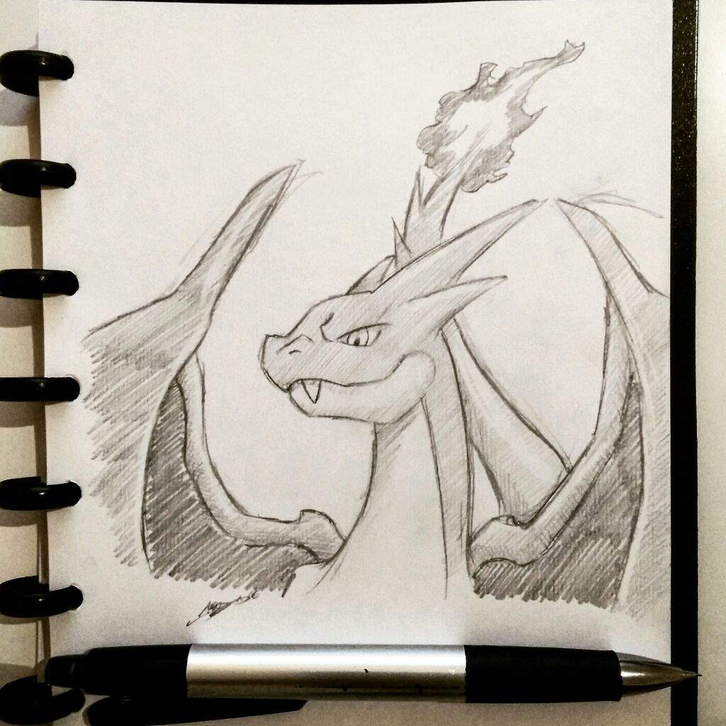 1024x1024 Mega Charizard Y Sketch Amino - Mega Sketch