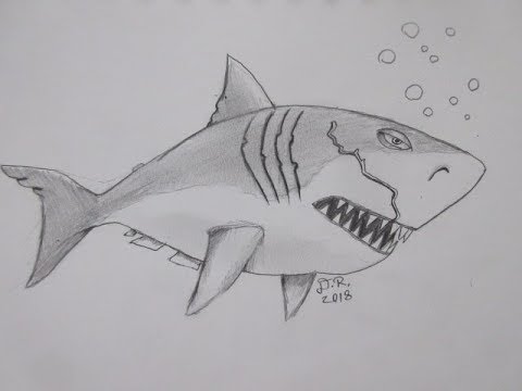 480x360 How To Draw Megalodon Hungry Shark Evolution - Megalodon Sketch