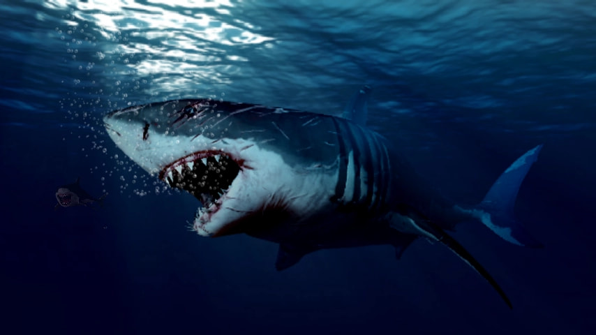 854x480 I Call This Picture Megalodon Mikediezel Fanart Art Sk - Megalodon Sketch