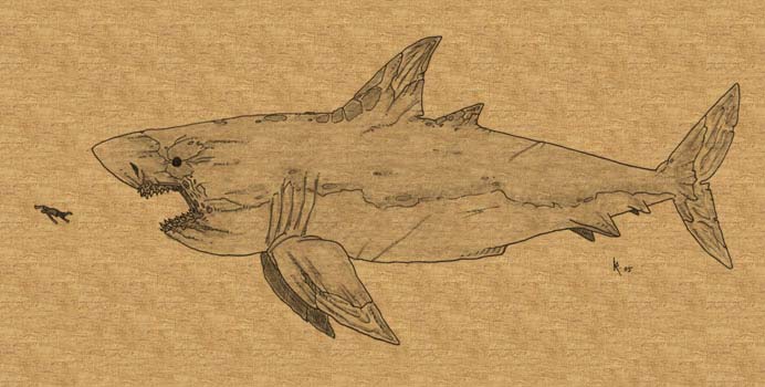 692x350 Khoras - Megalodon Sketch