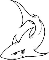 202x249 Megalodon Outline Shark Eye Drawing Pictures - Megalodon Sketch