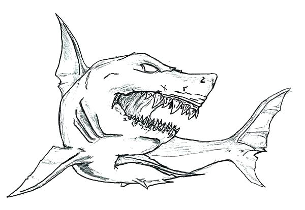 600x414 Megalodon Shark Coloring Pages Color The Monstrous Sharks Coloring - Megalodon Sketch
