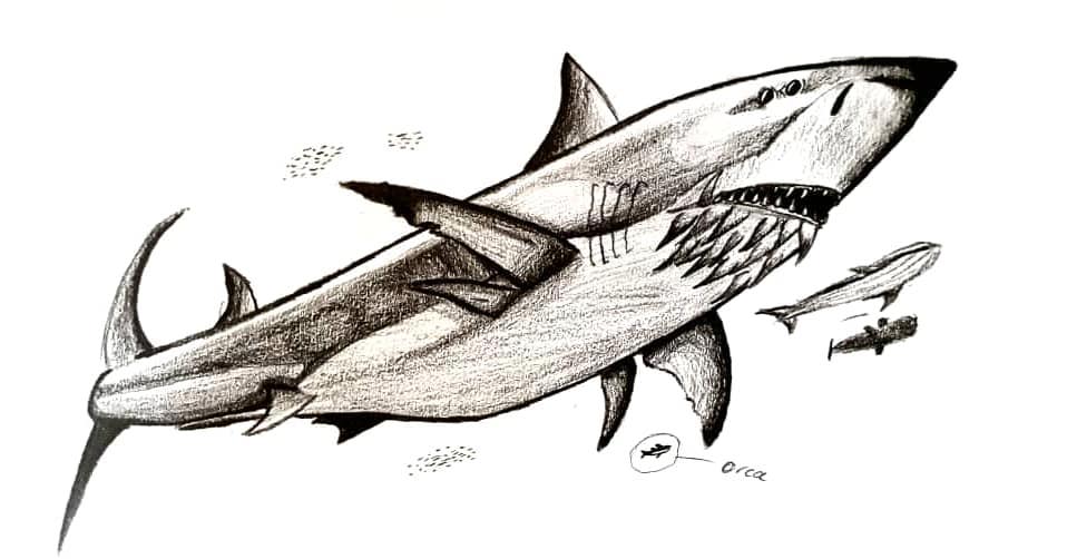 958x502 Prehistoricshark - Megalodon Sketch
