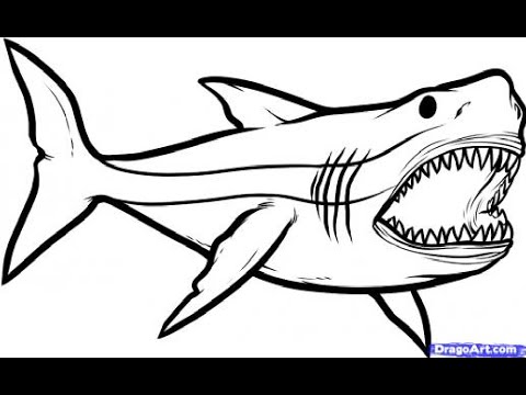 480x360 How To Draw Megalodon!! - Megalodon Sketch