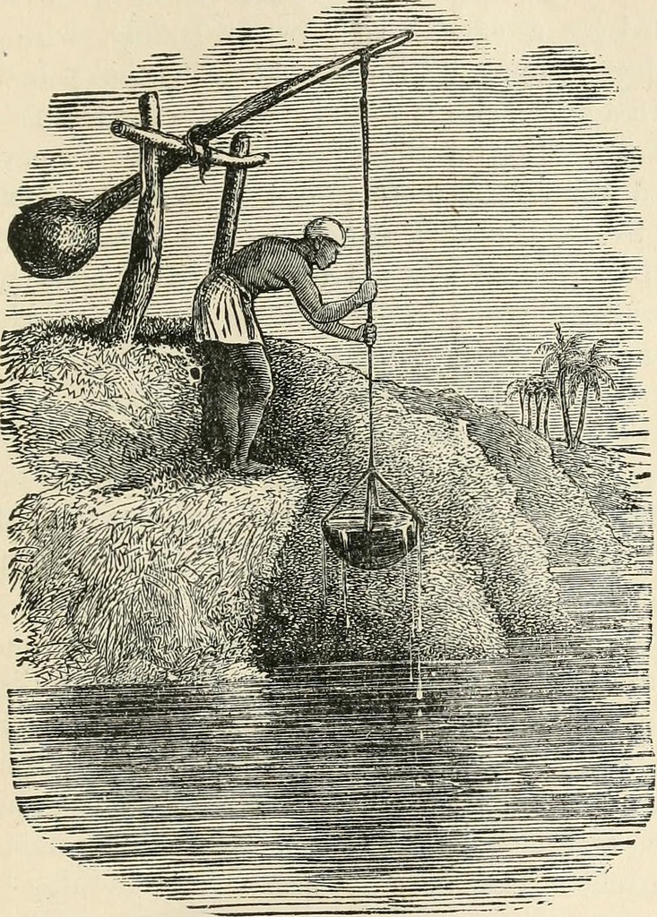 733x1024 Image From - Memorial Sketches