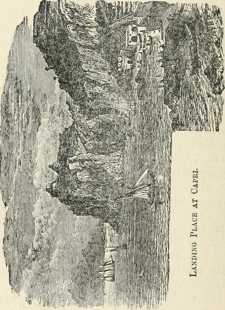 746x1024 Image From - Memorial Sketches