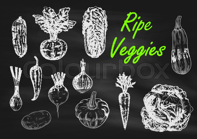 799x564 Ripe Vegetables Chalk Sketch On Blackboard. Menu Chalkboard With - Menu Sketch