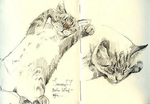 500x349 Merlin Sketch, 1 27 It Was Too Cold Yesterday To Go Out - Merlin Sketch