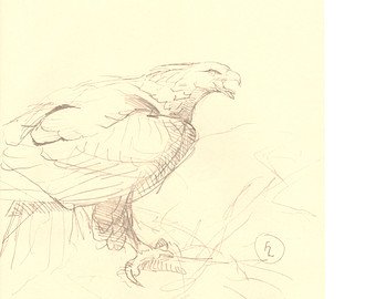 340x270 Merlin Drawing Etsy - Merlin Sketch