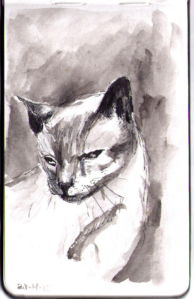 649x1000 Drawing Of Merlin The 20 Year Old Siamese Cat In Ballpoint Pen - Merlin Sketch