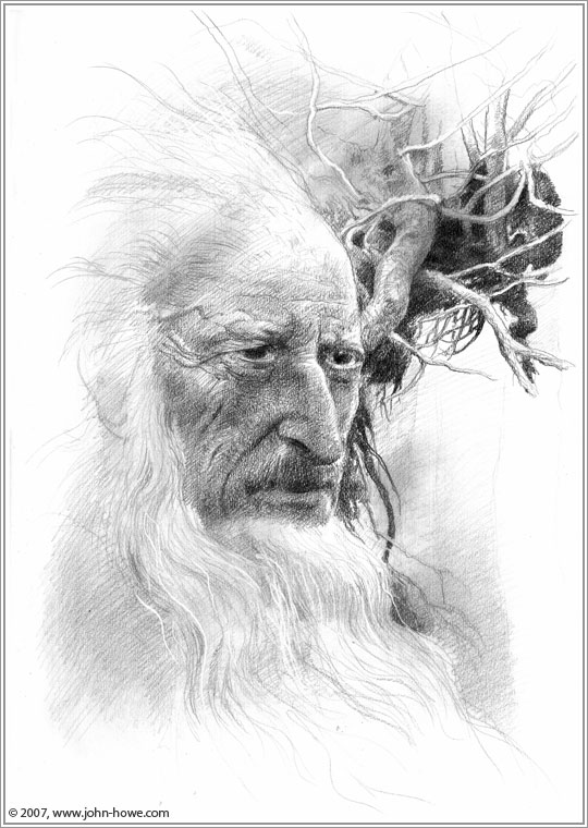 540x760 John Howe Illustrator - Merlin Sketch