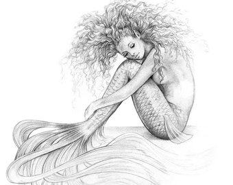 340x270 Pencil Drawings Amp Illustrations Etsy - Mermaid Pencil Sketch