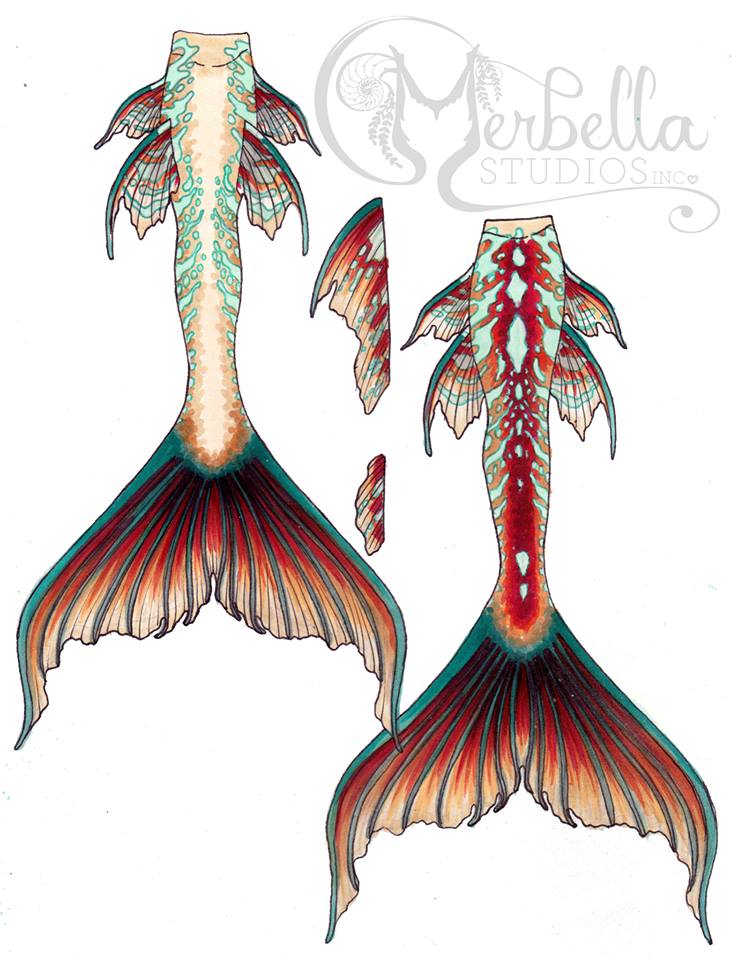 731x960 Mermaid Tail Design Sketch By Merbellas - Mermaid Tail Sketch