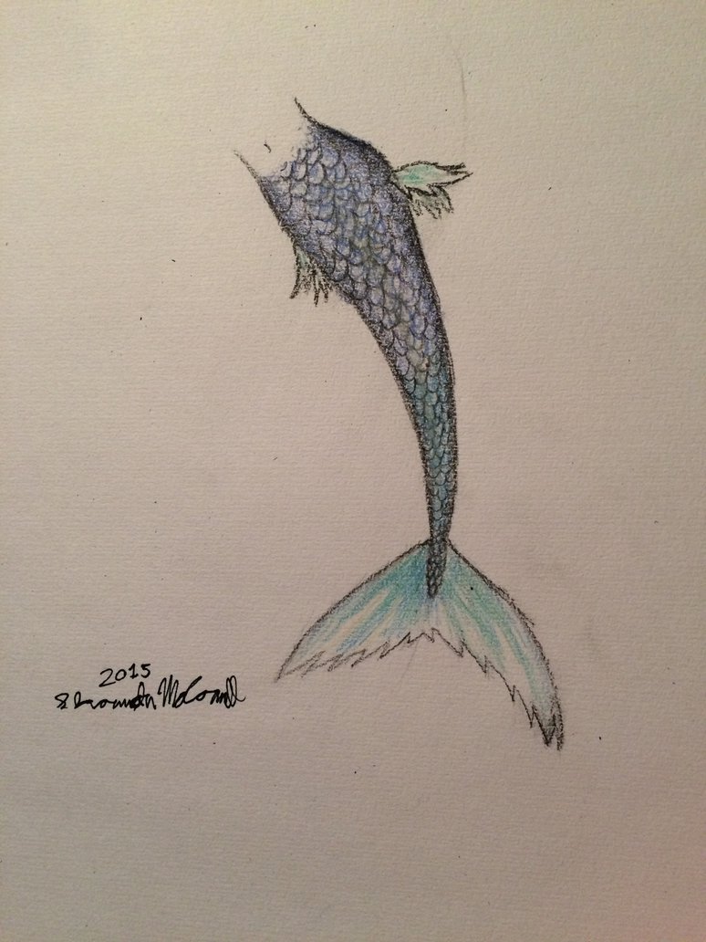 774x1032 Mermaid Tail Sketch By Spottedshadowwarrior - Mermaid Tail Sketch