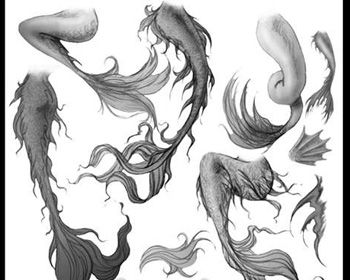 350x280 Mermaid Tails Art Inspiration Drawings, Mermaid - Mermaid Tail Sketch