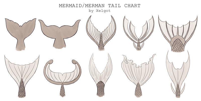 800x403 Mermaidmerman Tail Chart By Xelgot This Chart Was Commissioned To - Mermaid Tail Sketch