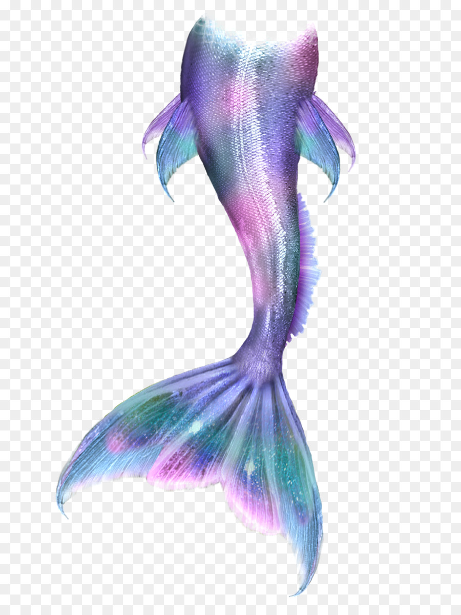 900x1200 Tailed Mermaid Sketch Drawing Skill - Mermaid Tail Sketch
