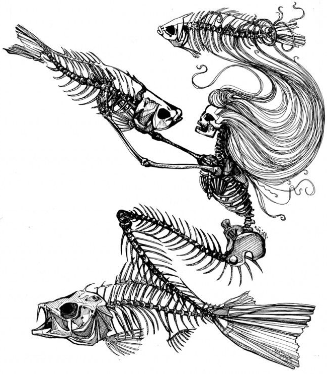 650x742 Mermaid Skeleton Tattoo Sketch Best Tattoo Ideas Gallery - Mermaid Tattoo Sketch