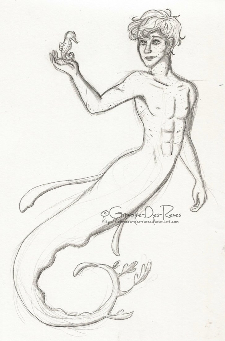 727x1100 Newt Merman Sketch By Grimoire Des Reves - Merman Sketch