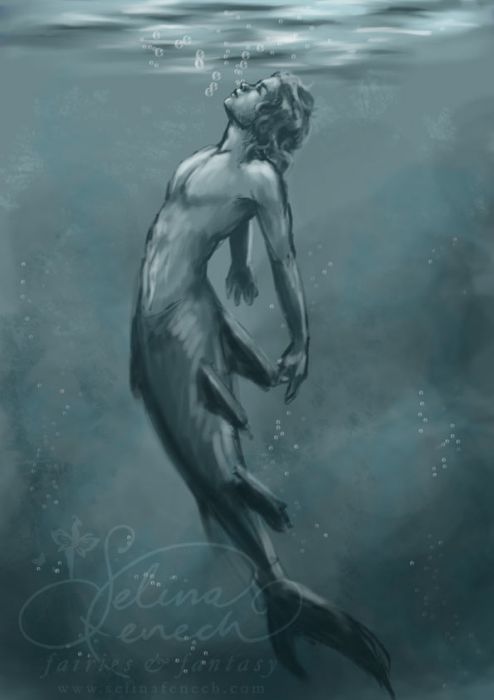 494x700 Sketch Fest! - Merman Sketch