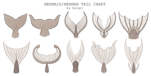 500x252 Drawing Sketch Tail Mermaid Concept Fish Tail Commission Merman - Merman Sketch