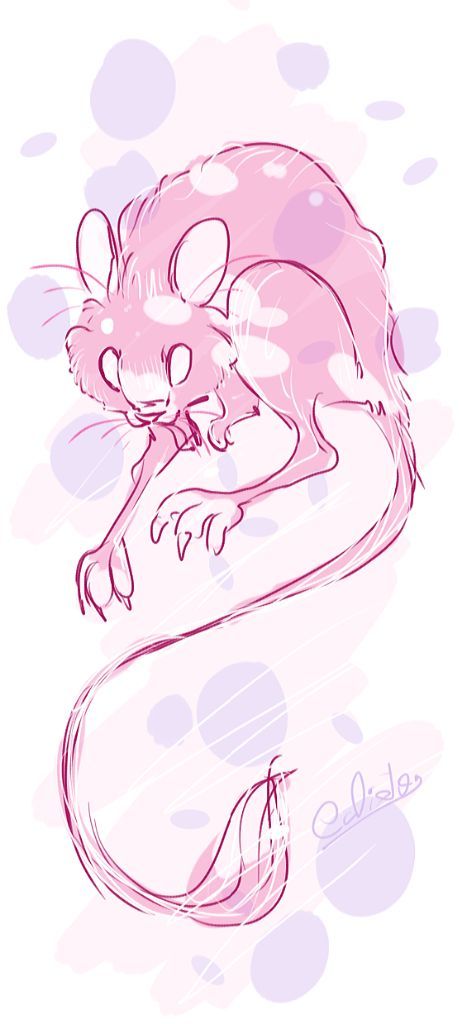 459x1024 Mew Amino - Mew Sketch