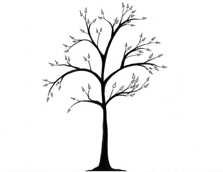 736x567 Winter Tree Drawing Winter Tree Drawing - Mexican Flag Sketch