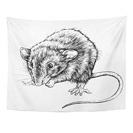 425x425 Emvency Tapestries Print 60x80 Inches Black Mice - Mice Sketch