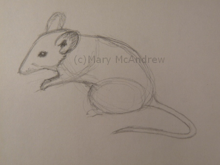 450x338 Mice Mary Mcandrew - Mice Sketch
