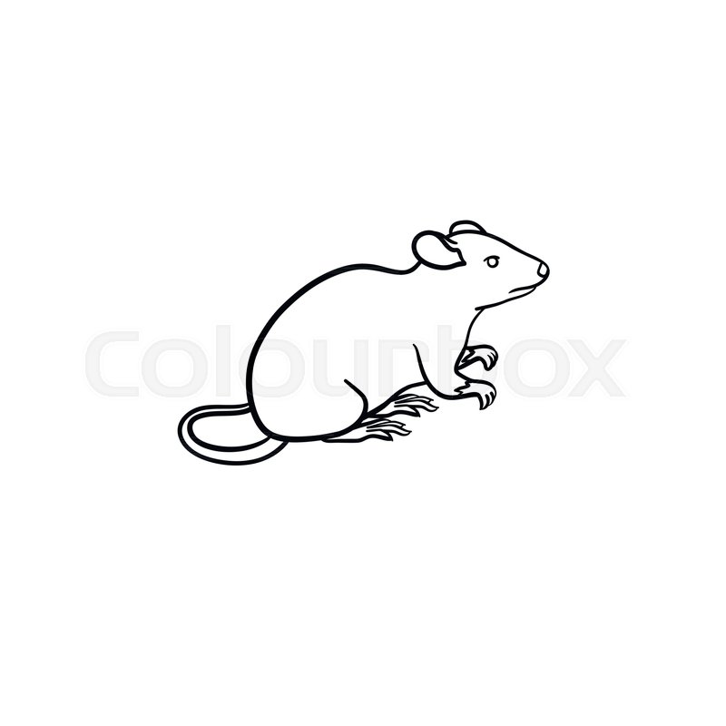 800x800 Lab Rat Hand Drawn Outline Doodle Icon. Mice Vector Sketch - Mice Sketch
