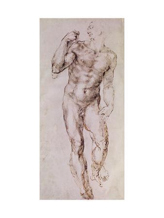 338x450 Sketch Of David With His Sling, 1503 4 Giclee Print By - Michelangelo David Sketch